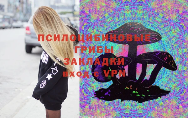 дмт Алексеевка
