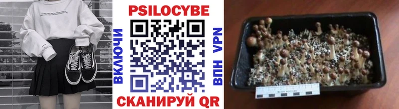 Псилоцибиновые грибы GOLDEN TEACHER Феодосия